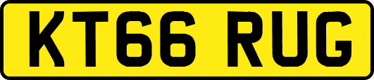 KT66RUG