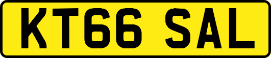 KT66SAL