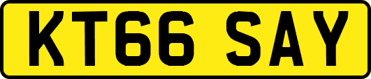 KT66SAY