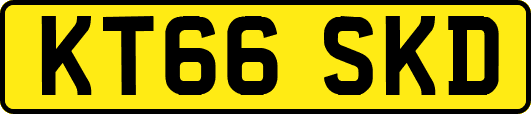 KT66SKD