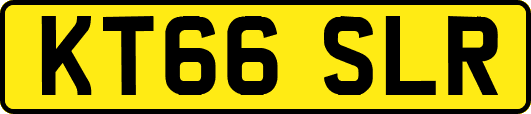 KT66SLR