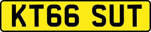 KT66SUT