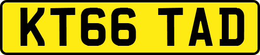 KT66TAD