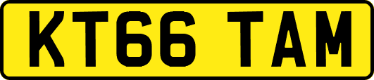 KT66TAM