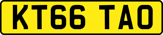 KT66TAO