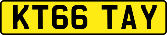 KT66TAY