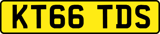 KT66TDS