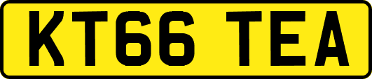 KT66TEA