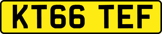 KT66TEF