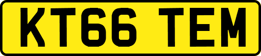 KT66TEM
