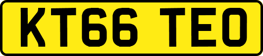 KT66TEO