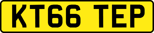 KT66TEP