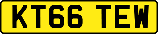 KT66TEW