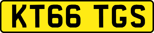 KT66TGS