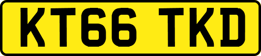 KT66TKD