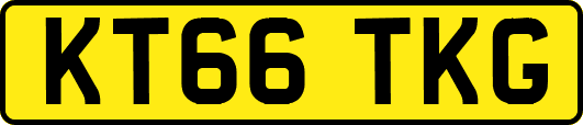 KT66TKG