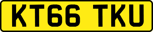 KT66TKU