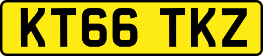 KT66TKZ