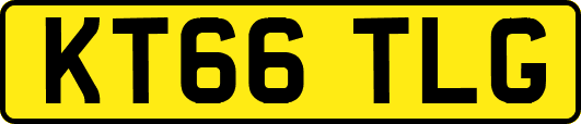 KT66TLG
