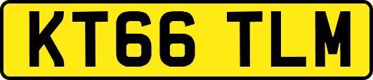 KT66TLM