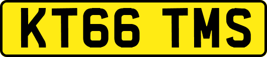 KT66TMS