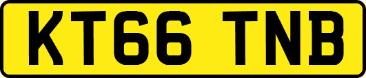 KT66TNB