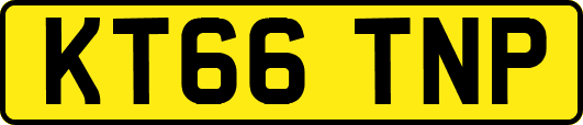 KT66TNP