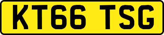KT66TSG