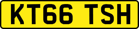 KT66TSH