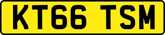 KT66TSM