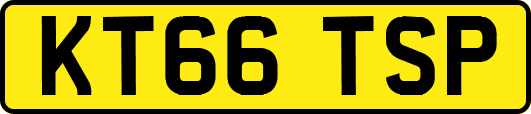 KT66TSP