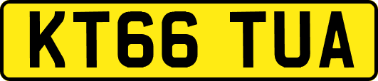 KT66TUA