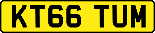 KT66TUM