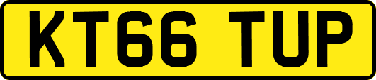 KT66TUP