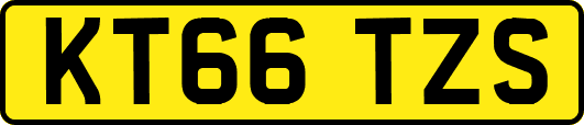 KT66TZS