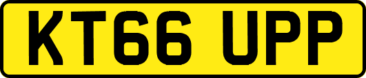 KT66UPP