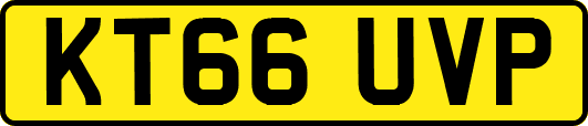 KT66UVP
