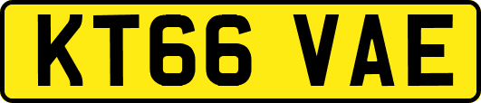 KT66VAE