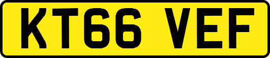 KT66VEF