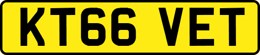 KT66VET