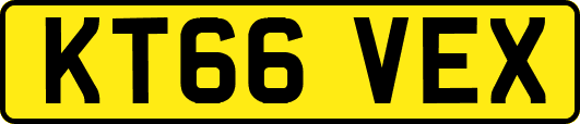 KT66VEX
