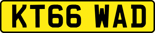 KT66WAD