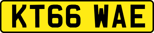 KT66WAE