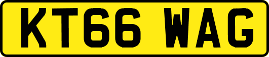 KT66WAG
