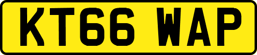 KT66WAP