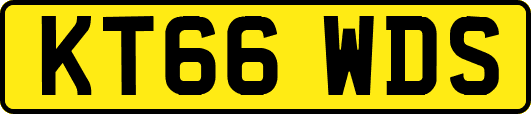 KT66WDS