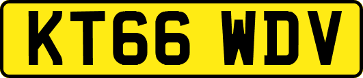 KT66WDV
