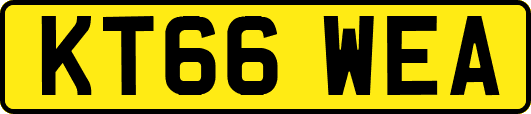 KT66WEA