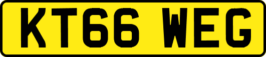 KT66WEG