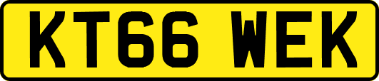 KT66WEK
